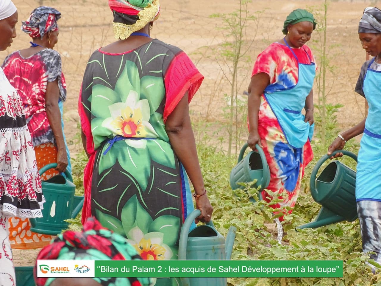 Développement agricole et rural